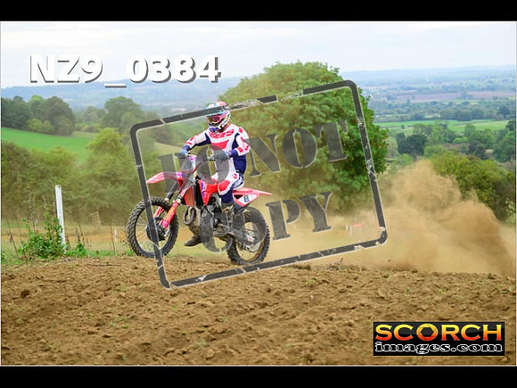 Experts-332