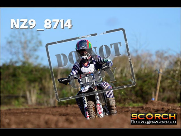 Experts-217