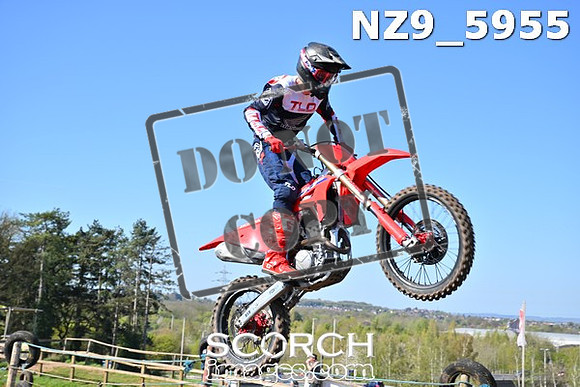 NZ9_5955