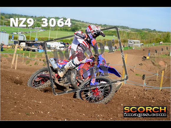 Experts-256