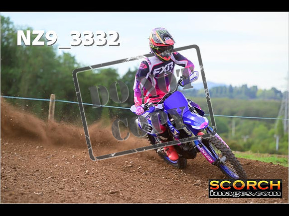 Experts-295