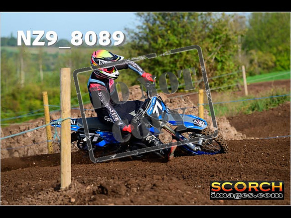 Experts-083