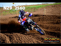 Experts-019