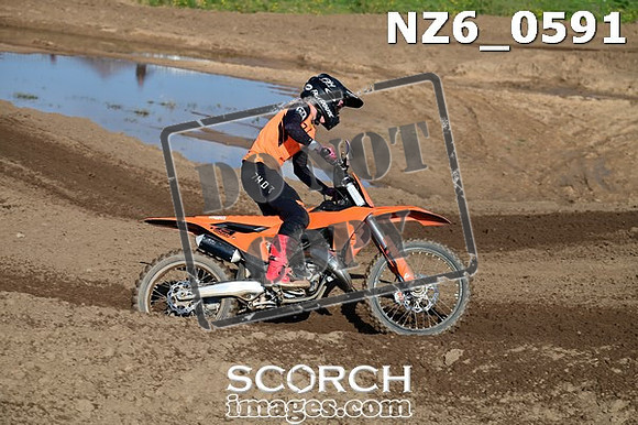 NZ6_0591