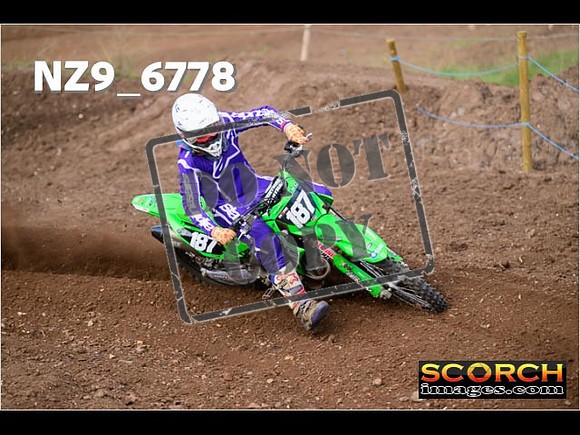 Experts-275