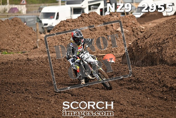 NZ9_2955