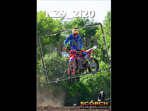 Experts-254