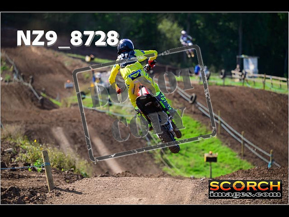 Experts-230