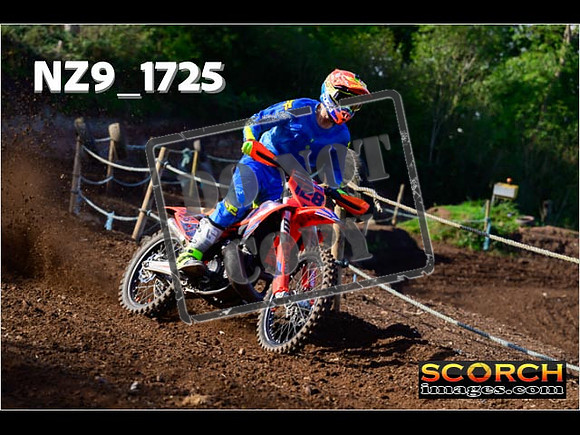 Experts-154