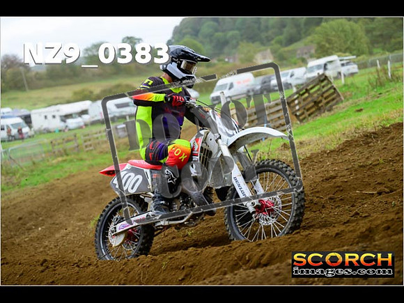 Experts-331
