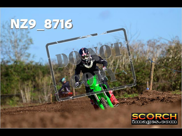 Experts-219