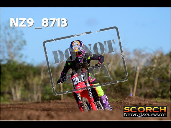 Experts-216