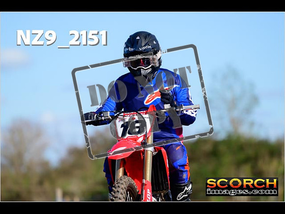 Experts-281