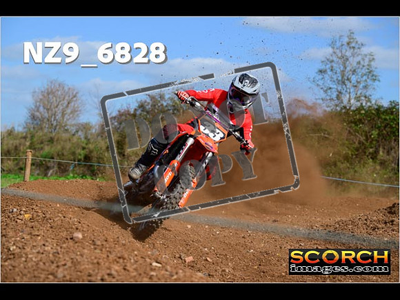 Experts-323