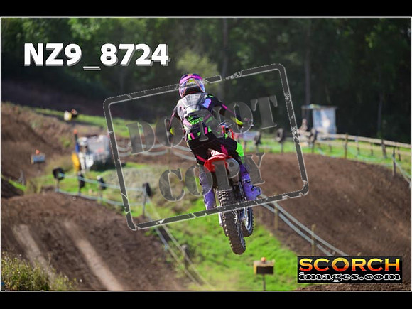 Experts-226