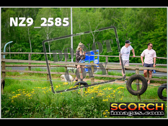 Apex Sun 28-May Experts-178