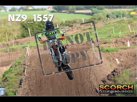 Experts-240