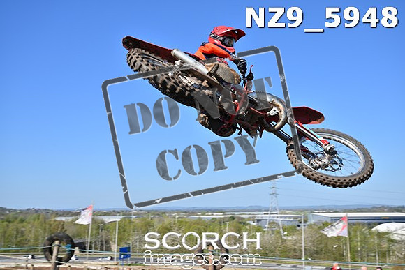 NZ9_5948