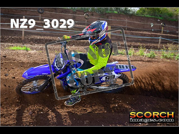 Experts-223