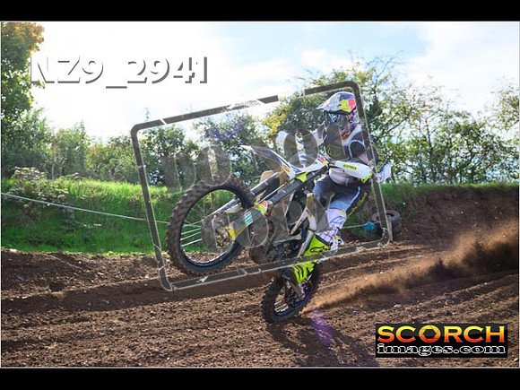 Experts-140