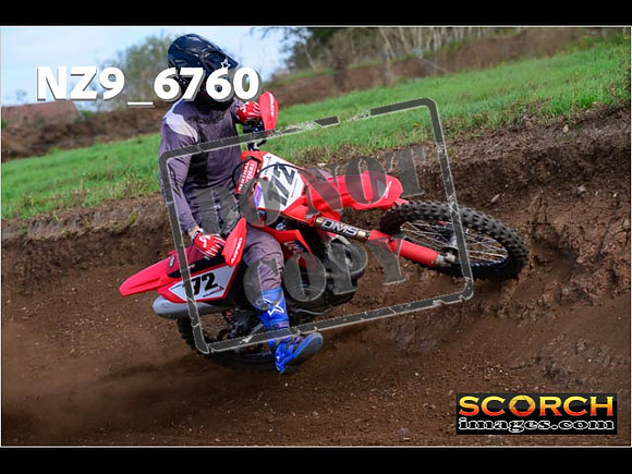Experts-259
