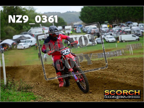 Experts-310