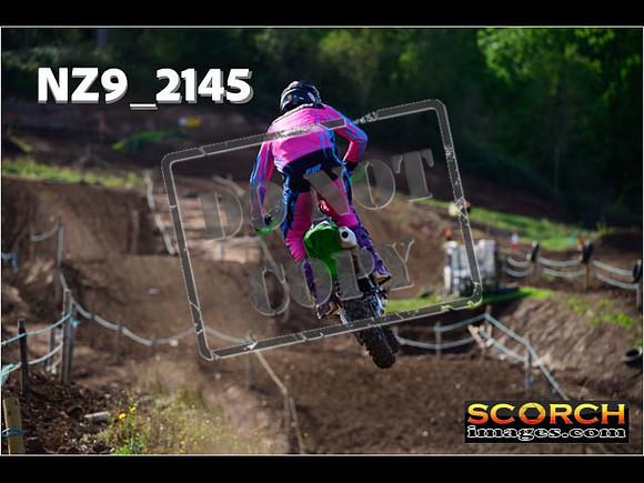 Experts-275