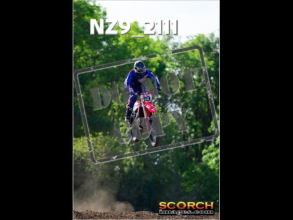 Experts-245
