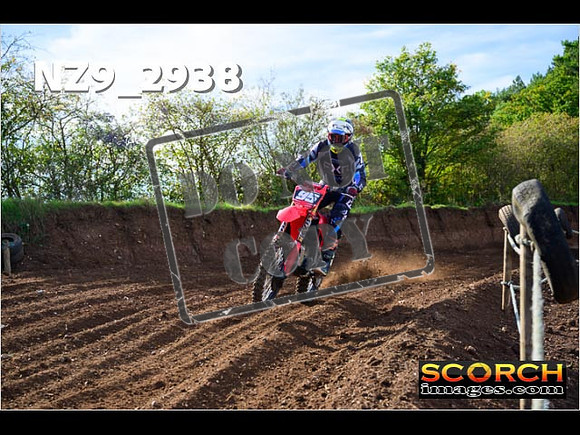 Experts-137