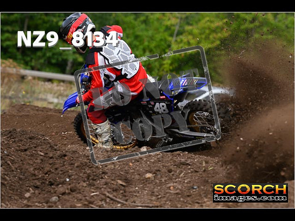 Experts-074