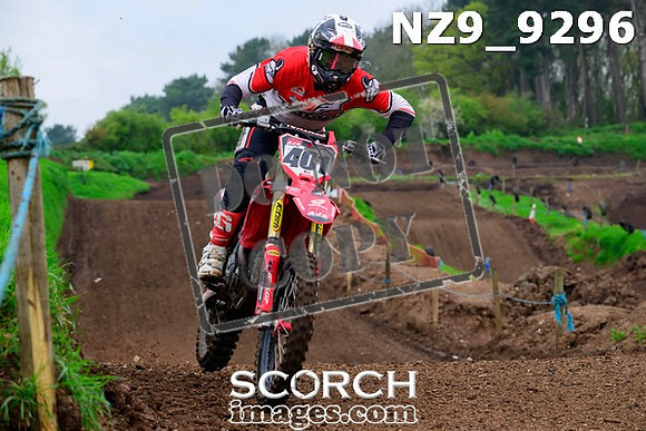 NZ9_9296