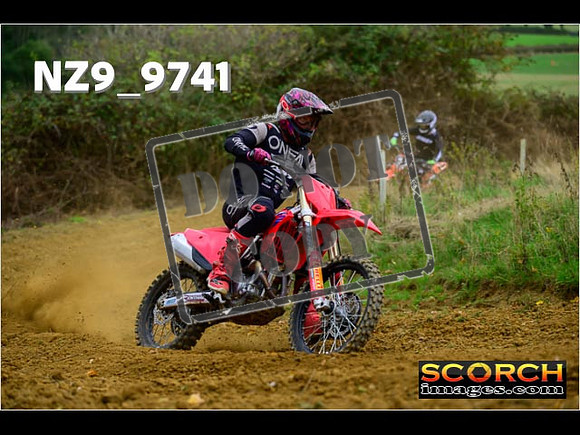 Experts-164