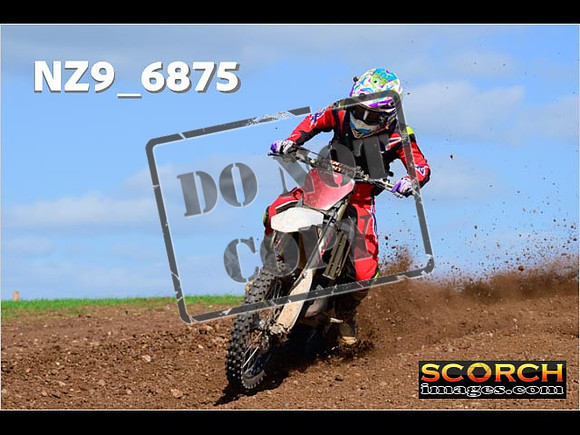 Experts-369
