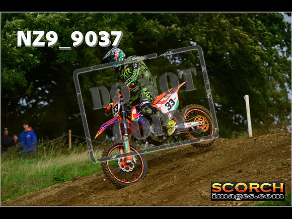Experts-082