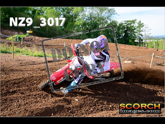 Experts-211