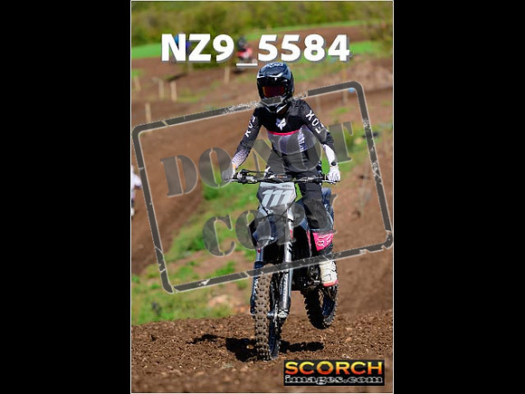 Inters-241