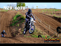 IntersGreen-003