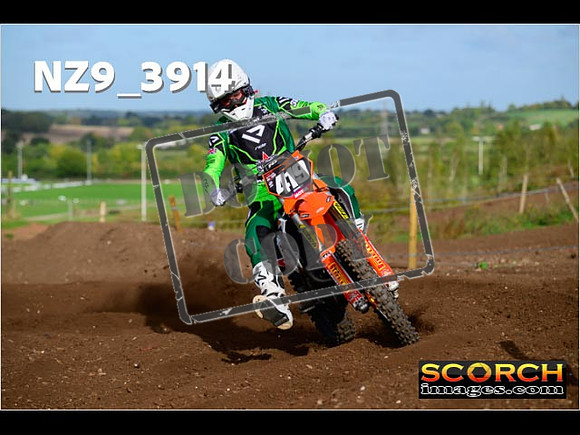 Experts-060