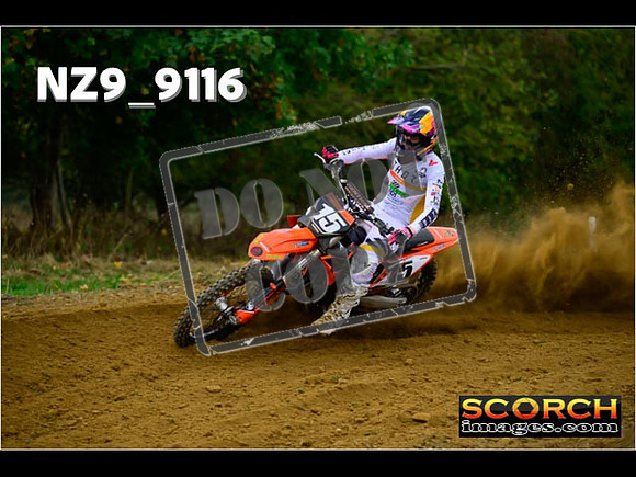 Experts-157