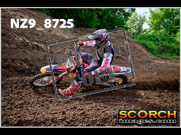 Experts-068