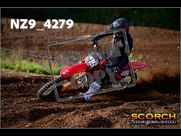 Experts-141