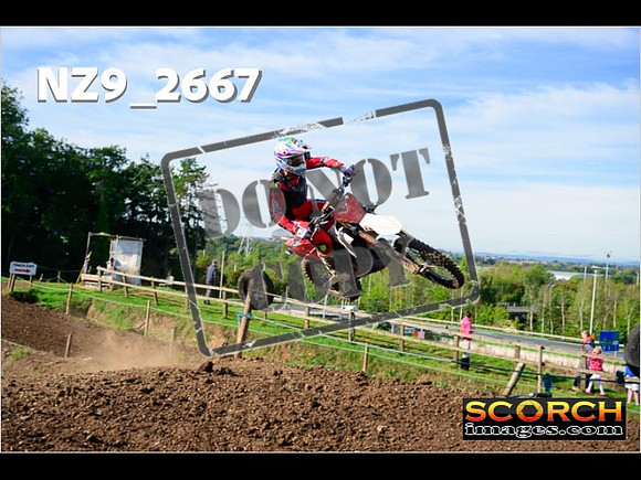 Experts-113