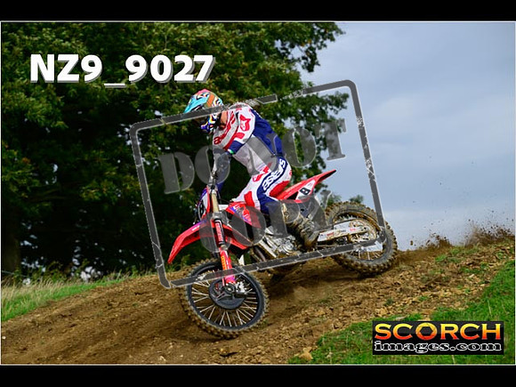 Experts-072