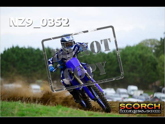 Experts-302
