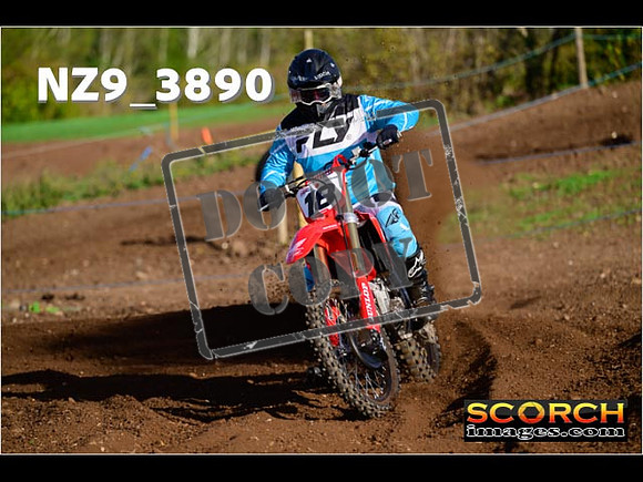 Experts-036