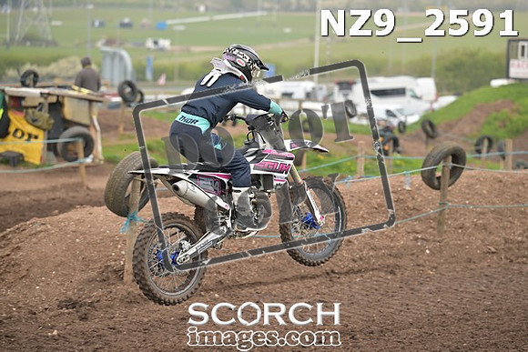 NZ9_2591