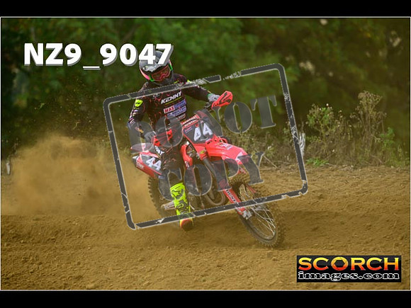 Experts-092