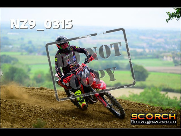 Experts-269