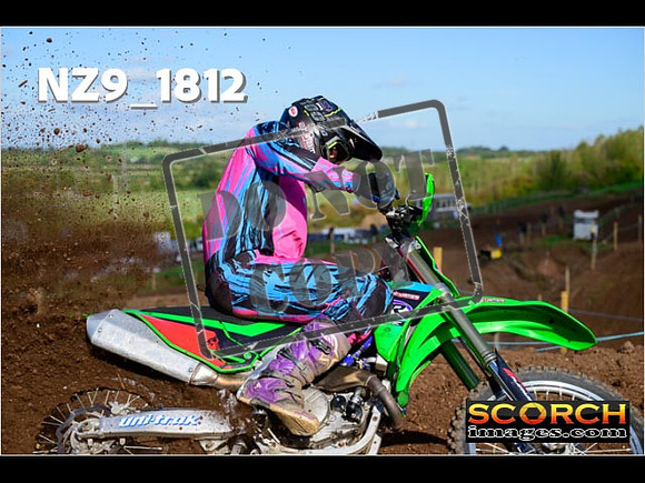 Experts-236