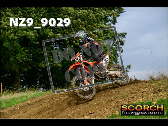 Experts-074